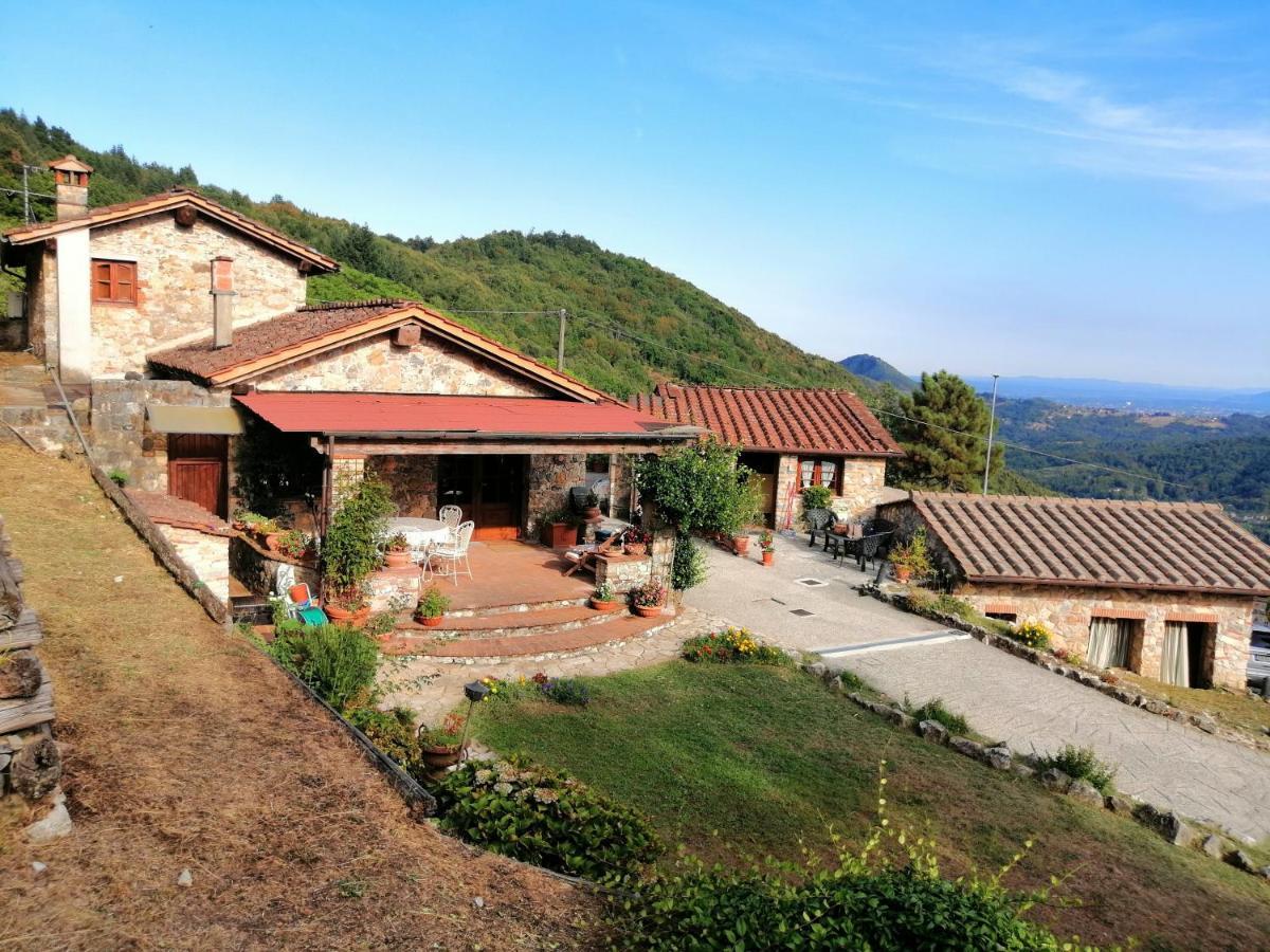 Villa Armonia Borgo a Mozzano Bagian luar foto